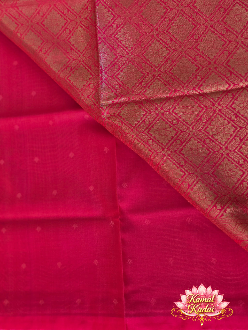 Jyothika Saree With Contrast Pallu and Blouse
