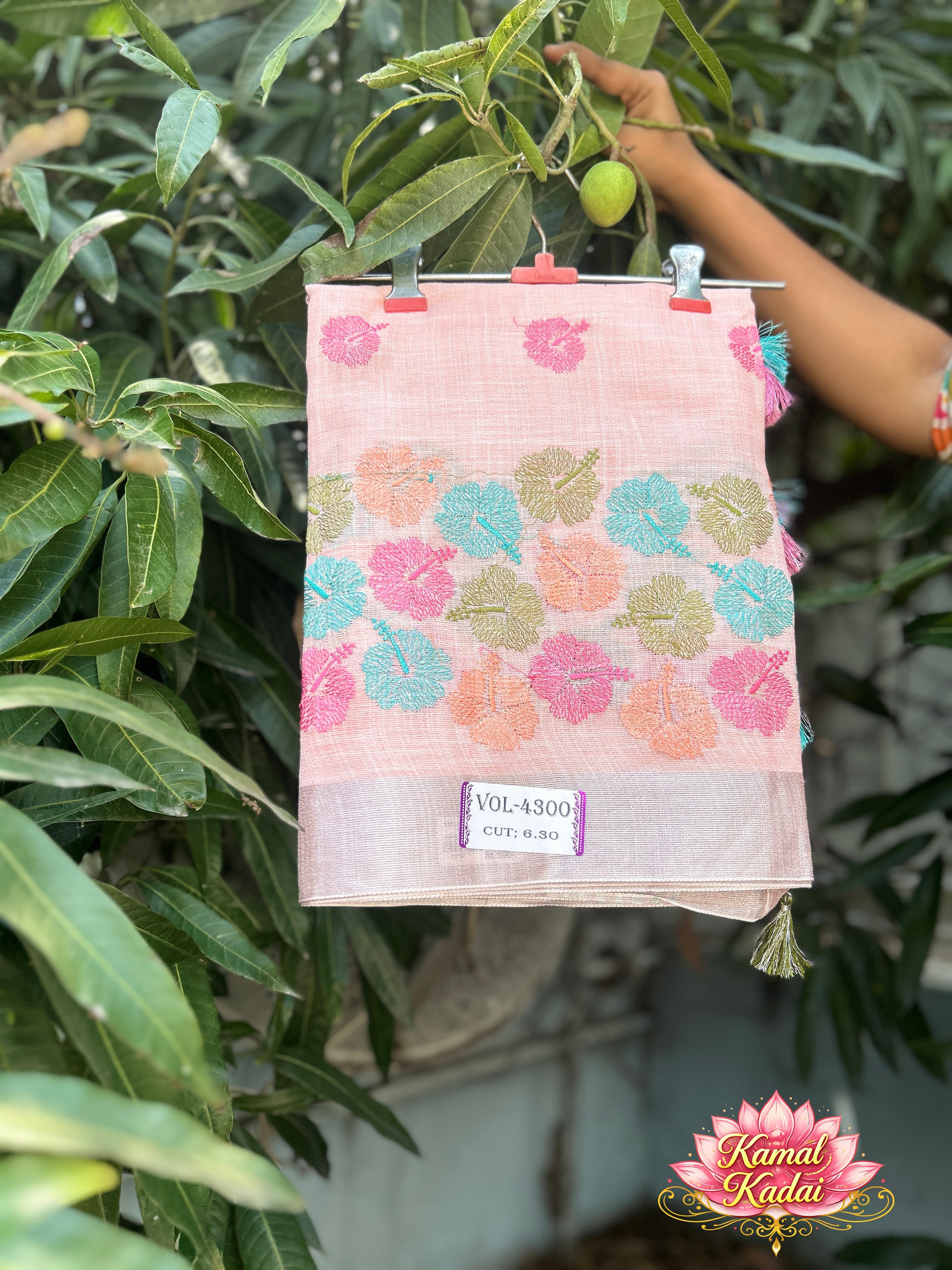 Linen Saree With Embroidery