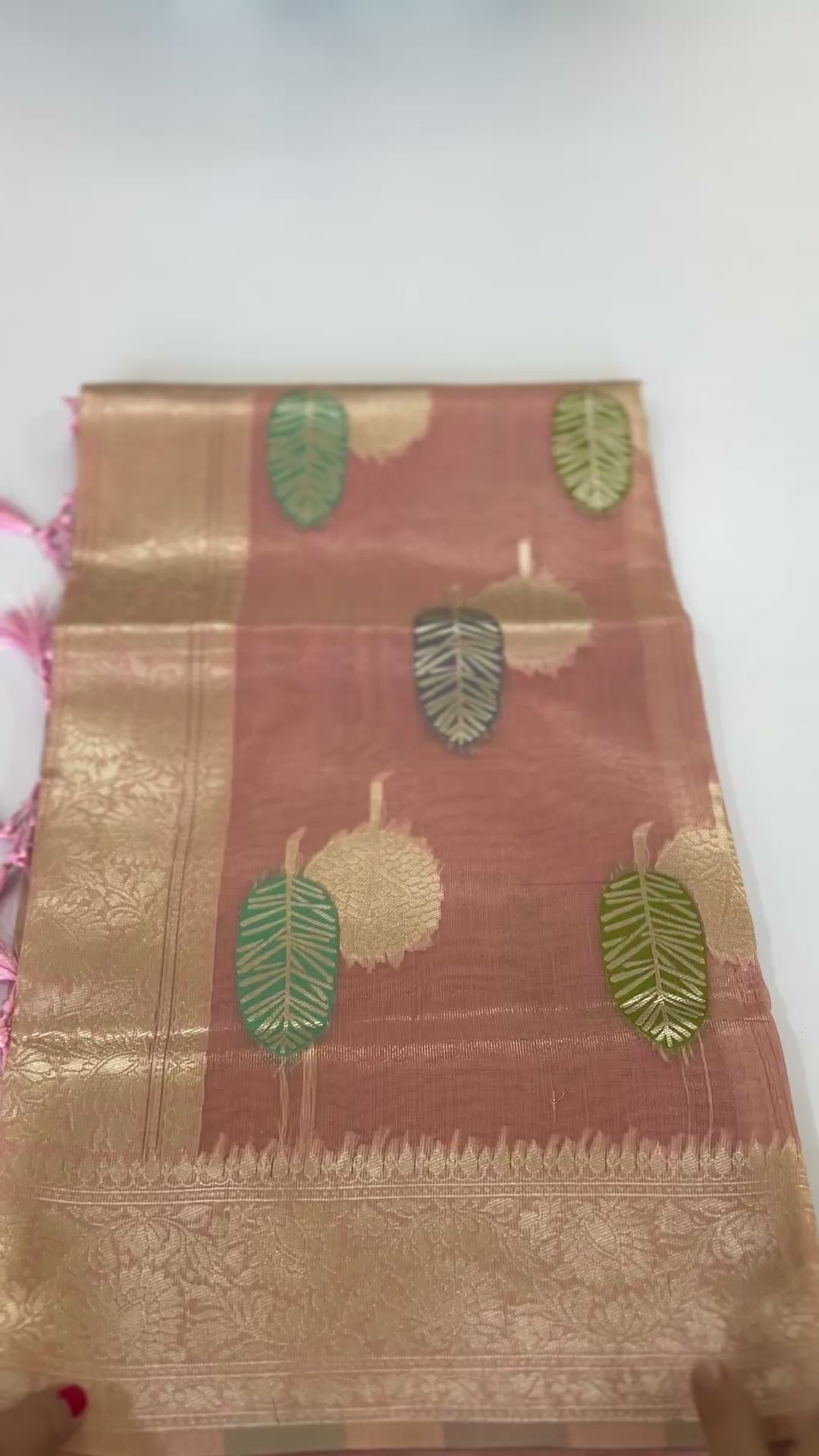 Rainbow Organza Silk Saree