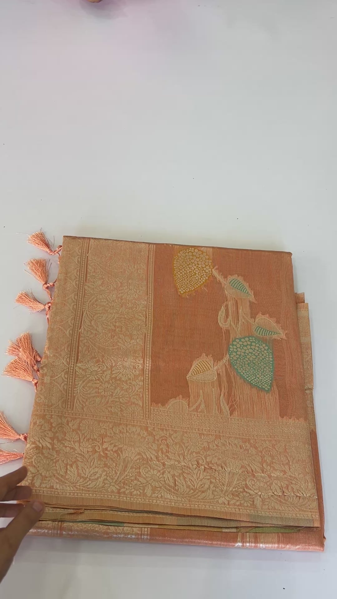 Rainbow Organza Silk Saree